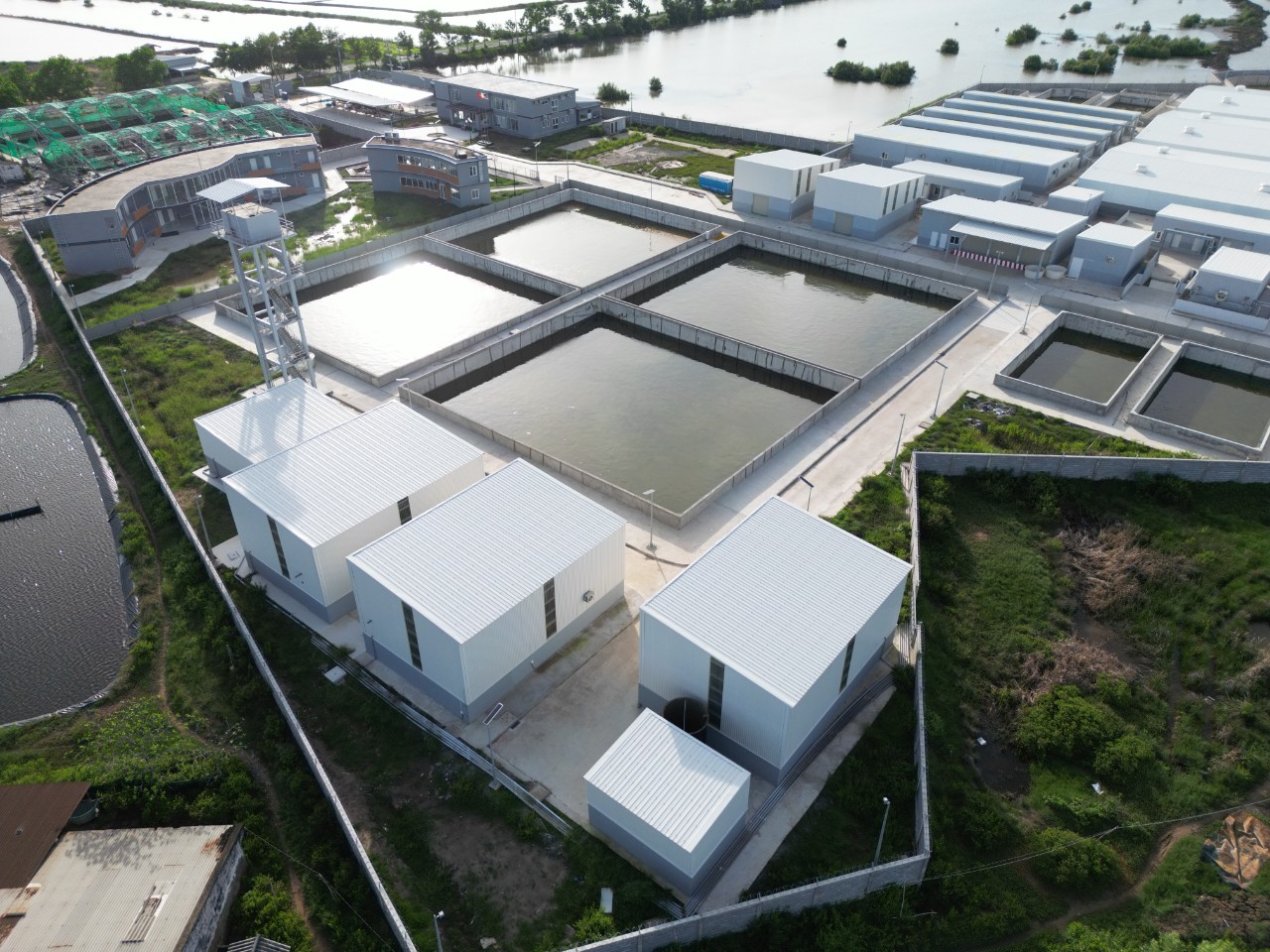Vietnam’s Largest High-Tech Shrimp Hatchery
