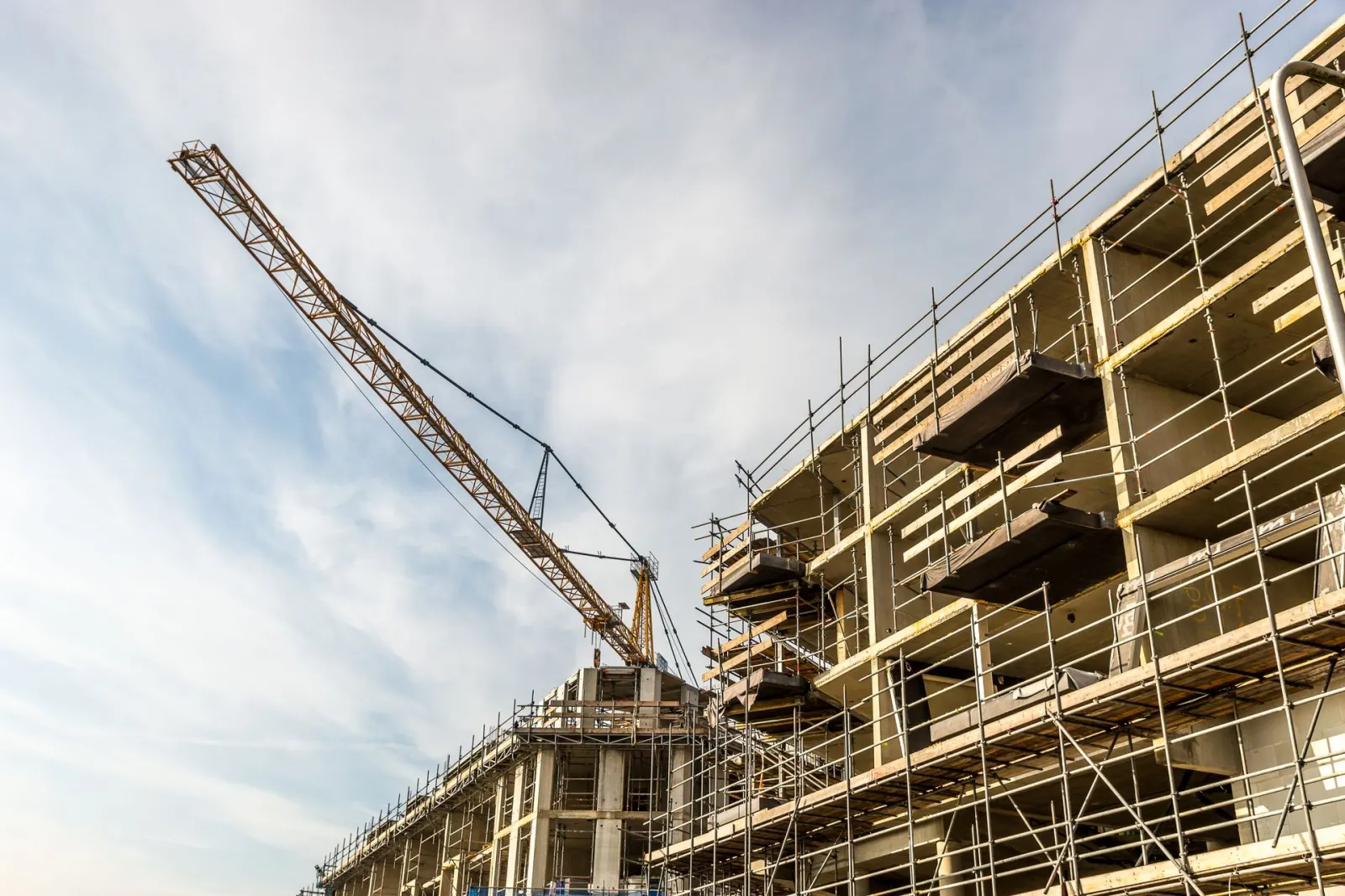 Tower crane and reinforced concrete building under construction