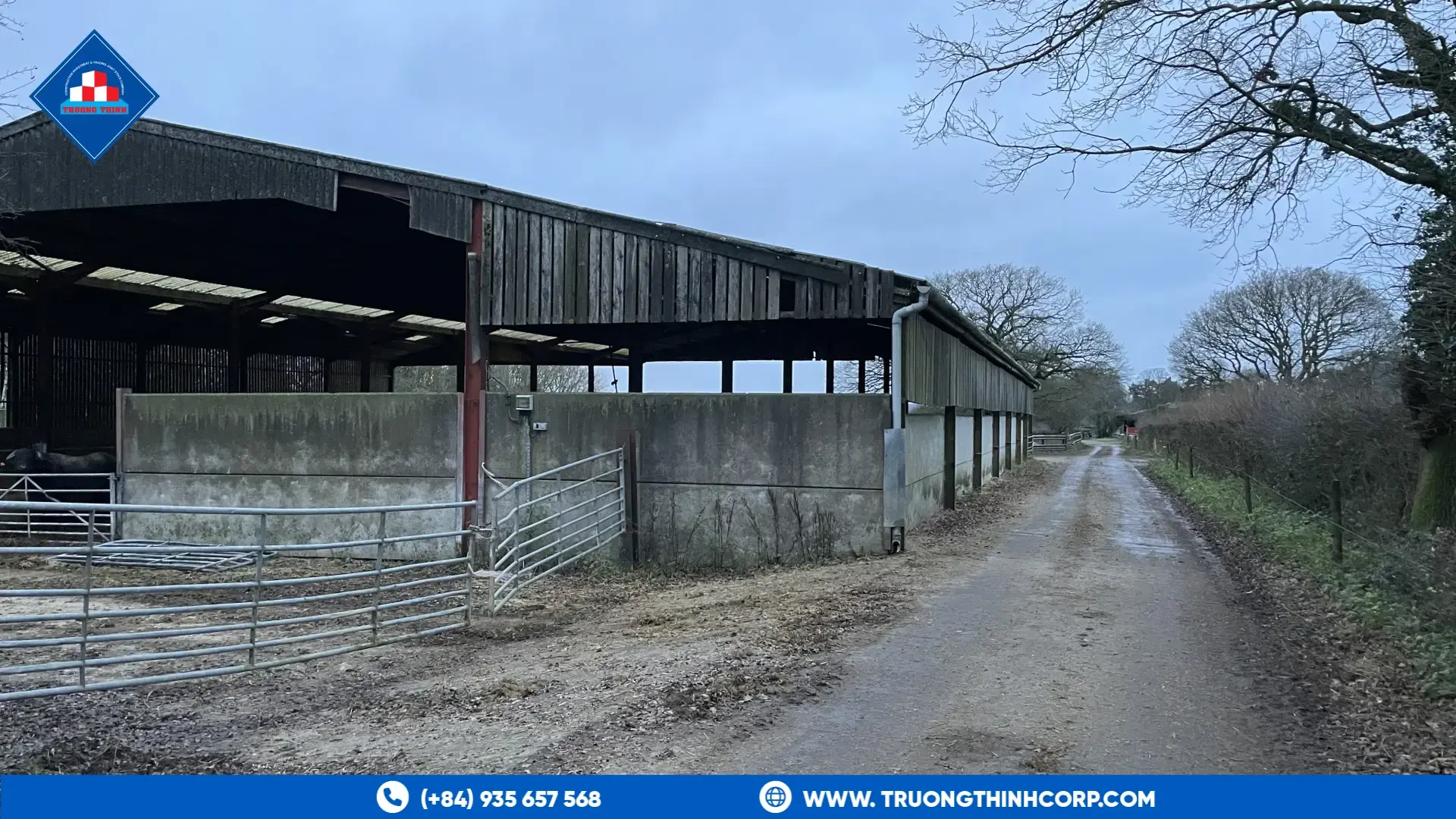 Long livestock shed with a concrete wall and open-sided steel-framed roof on a farm