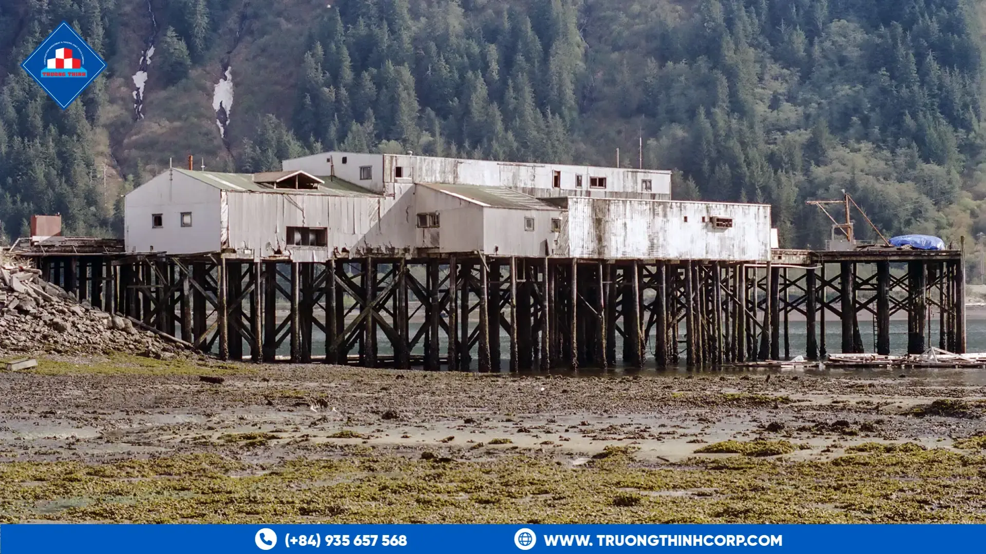 Cold storage building on timber pilings beside a tidal flat